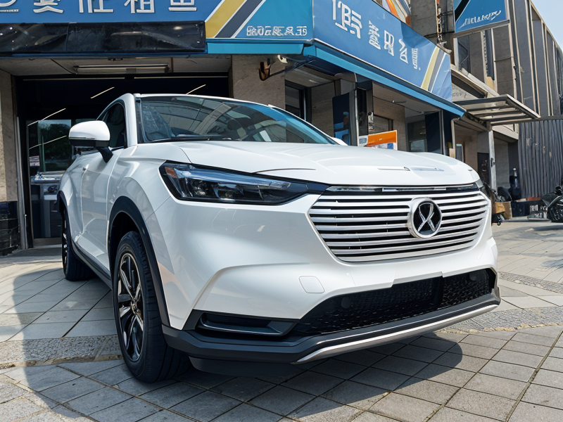 IWS Car Rental  (HSR Tainan)的Supplier Choice SUV車圖照