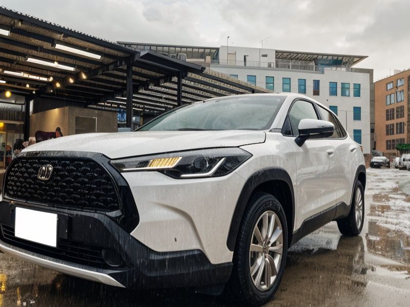 Supplier Choice SUV image 1