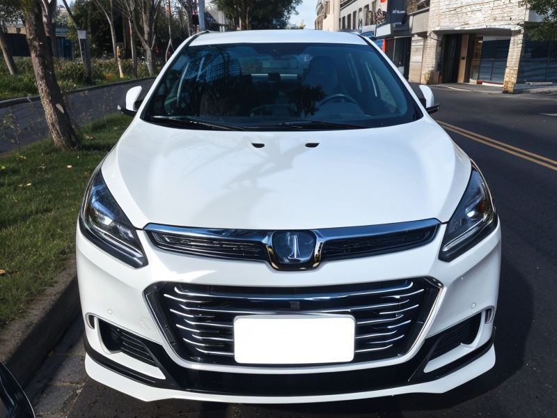 LUXGEN U6 image 1