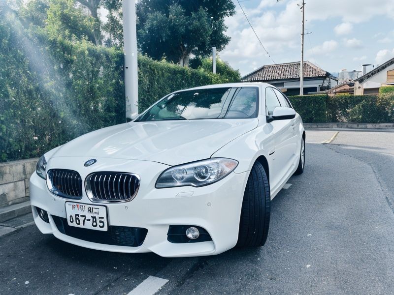 BMW 5-Series image 1