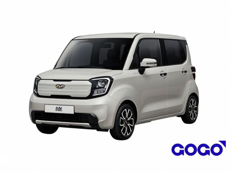 Supplier Choice Small Car image 1