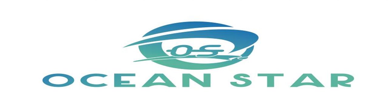 Okinawa Ocean Star Rent A Car租車介紹封面圖